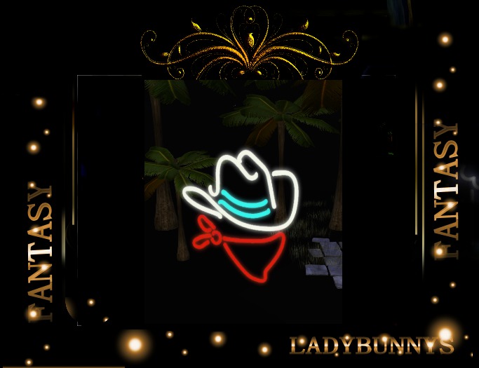 Wall Art Decor Neon-Western