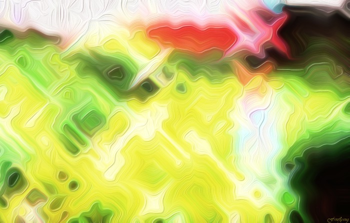 Picture Abstract Garden