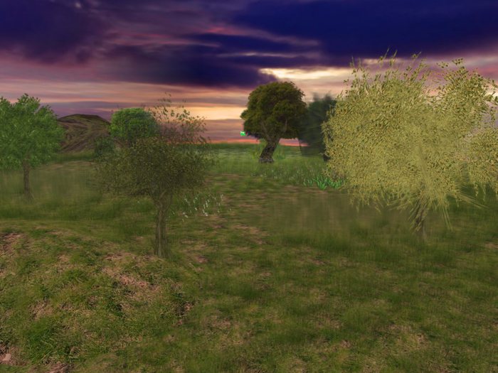 633J  Landscaped Dome.100m  with Boundary hills,  tress shrubs