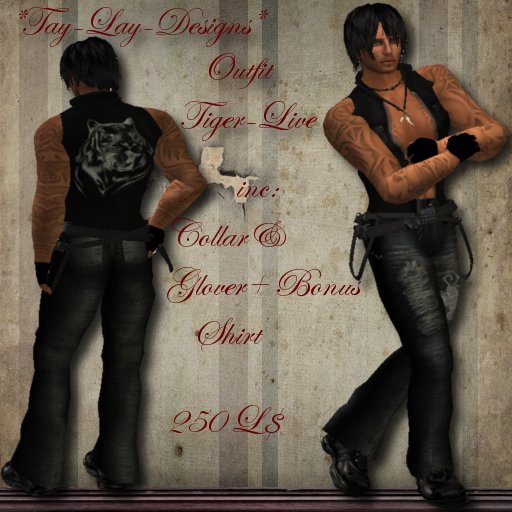 *Tay-Lay-Designs*-Tiger Live