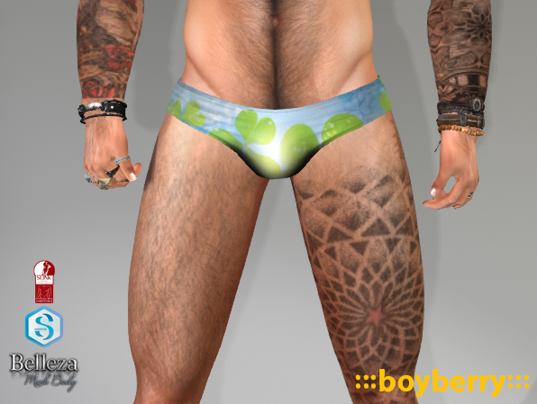 boyberry Shamrock Shorts