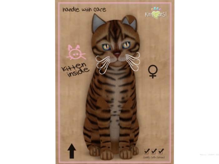 KittyCatS Box - 9 T - Toyger - Caramel