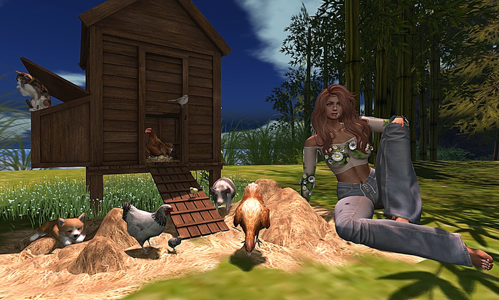 CJ Coop Animals Home with single Sit