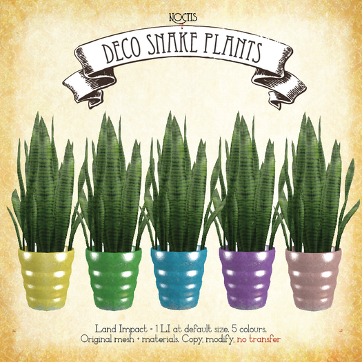 [noctis] Deco Snake plants ADD ME to unpack