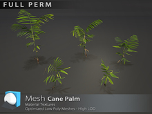 [Prim 3D] - Cane Palm "FULL PERM"*