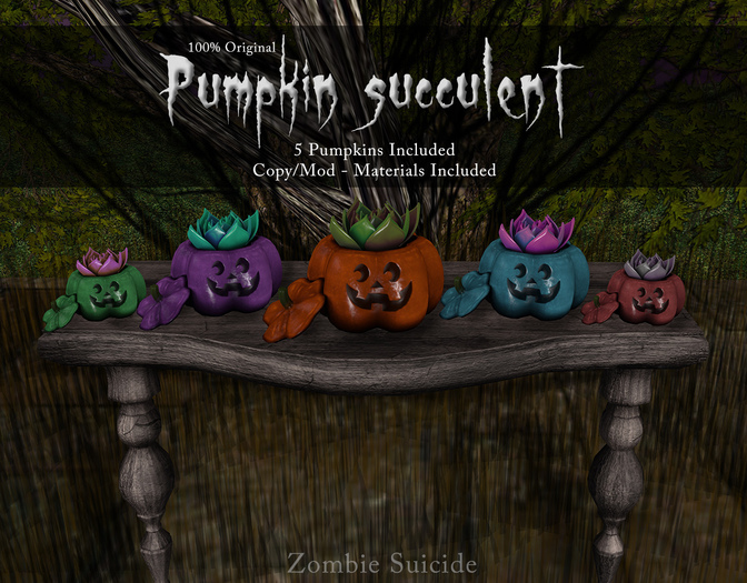 :Z.S: Pumpkin Succulents