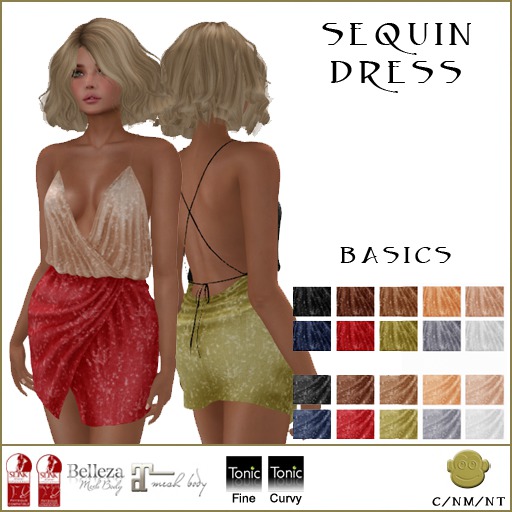 BM Sequin Dress Basics DEMO