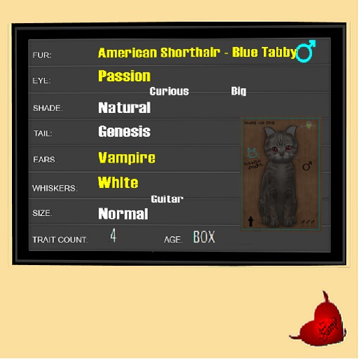 KittyCatS Box - M 4T AmeShort BlueTab Vampire Normal