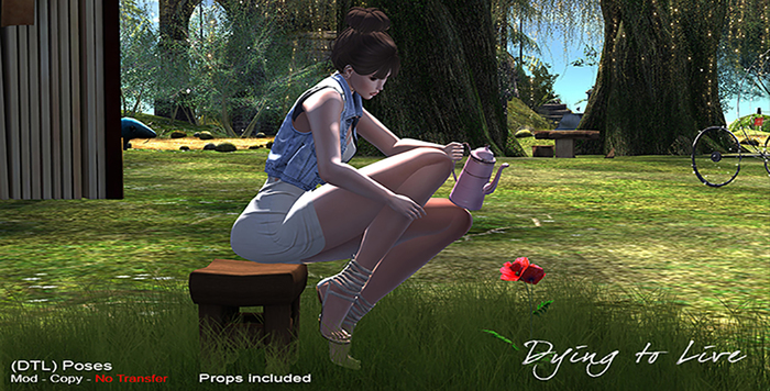 DTL DROPS PF LIFE - BOX MP