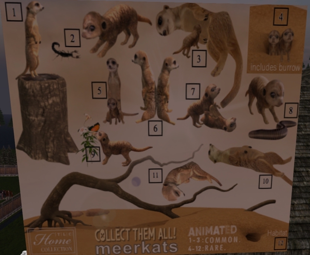 *TLC Meerkat gacha_3_RARE