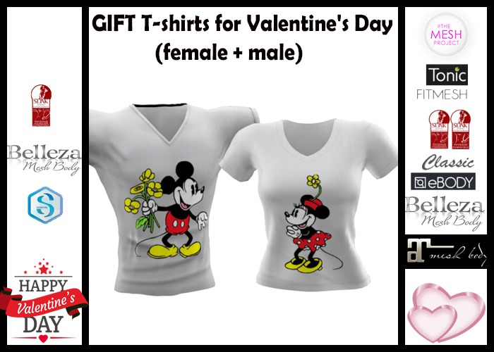 GIFT !!!  T-shirts for Valentine's Day (female + male)
