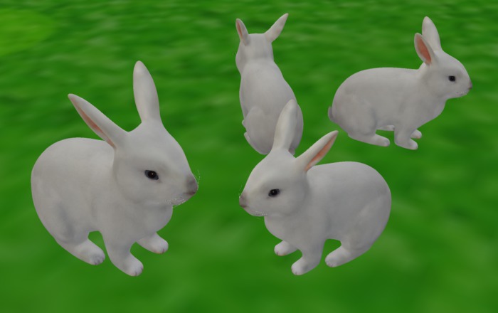 Second Life Marketplace - Rabbit full perm Li 1 with texture