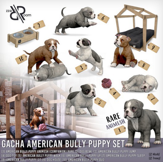 [Rezz Room] Box Dog House