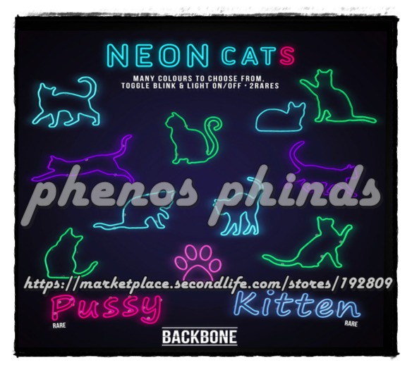 BackBone Neon Cats - What's Up