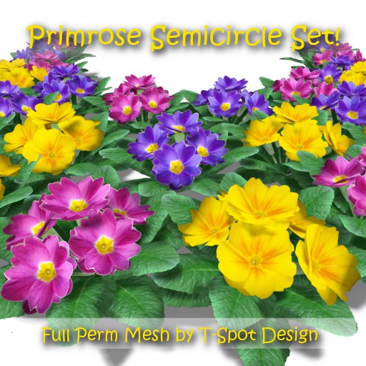 T-Spot Mesh - Primrose Semicircle Set - Full Perm -  LI=1.2-2.6