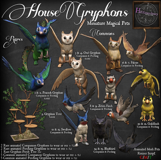 13. *HEXtraordinary* Swallow Gryphon - Perching