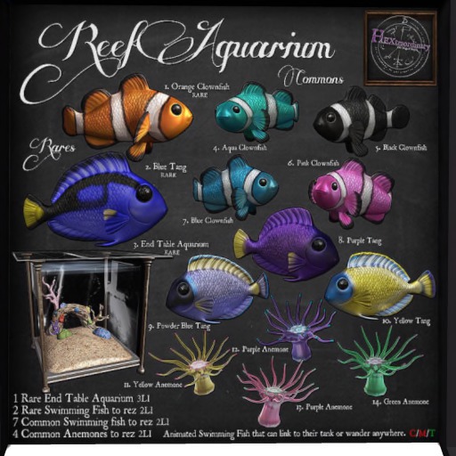 10. *HEXtraordinary* Yellow Tang