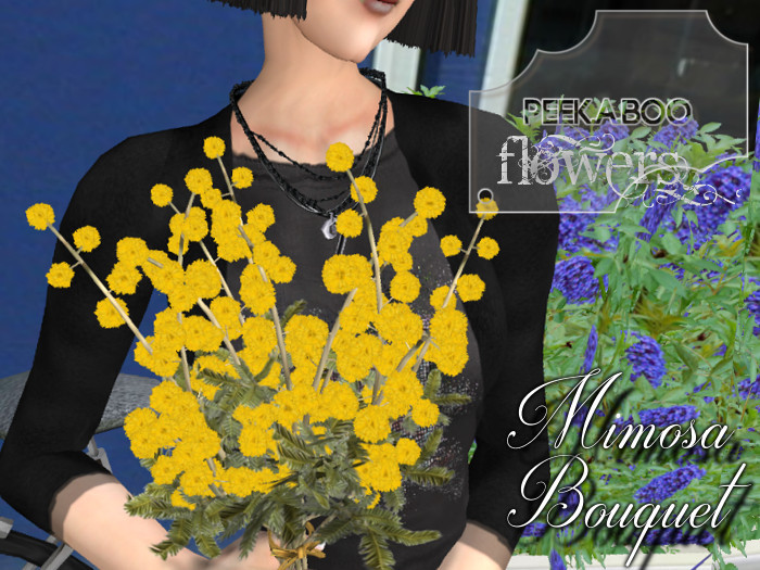 p-a-b mimosa bouquet
