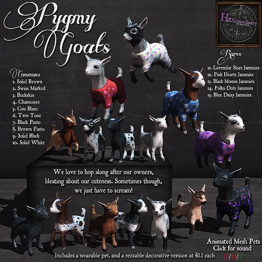 1. *HEXtraordinary* Pygmy Goat - Solid Brown