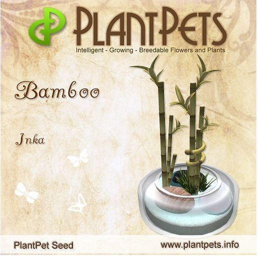 PlantPet Seed [Bamboo *Inka*]