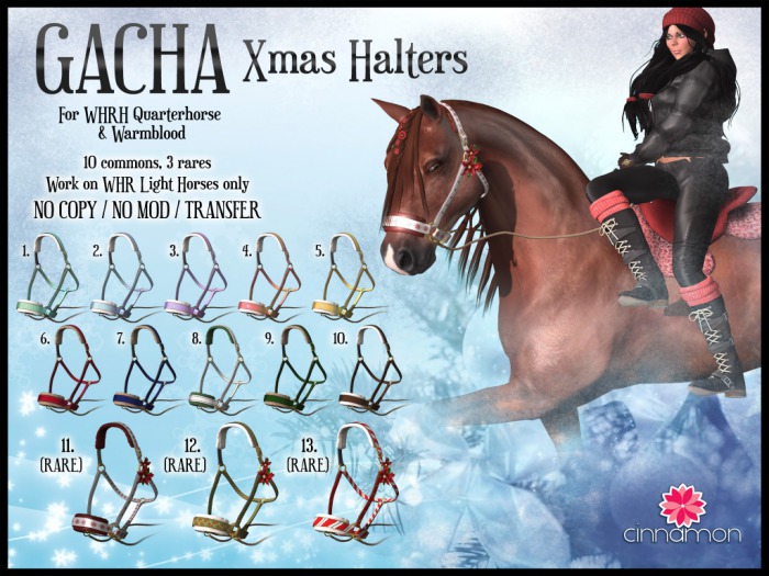 *CINNAMON* Xmas Halter 7. Navy WB