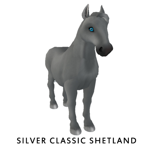Silver Classic Shetland