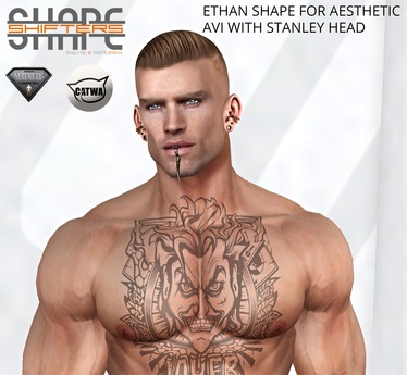 Second Life Marketplace - [SHAPEshifters] ETHAN SHAPE FOR AESTHETIC AVI ...