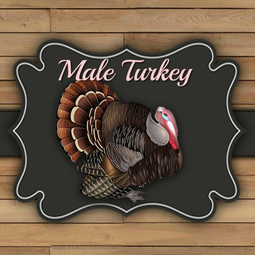 DFS TEXTURE - Male turkey