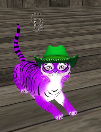 KittyCatS Box - Rinna