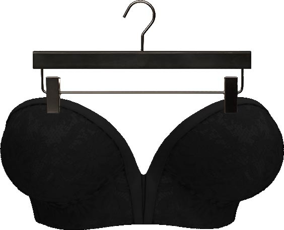 Addams "Damaris" Lace Bra #30