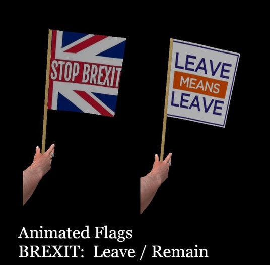 Brexit Flags MP