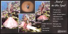 Jewel of the Sea (opal) (boxed)