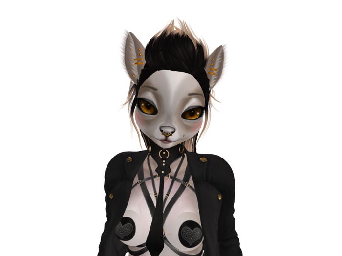 .LUCIDMOON. Foxcat Eyebrows