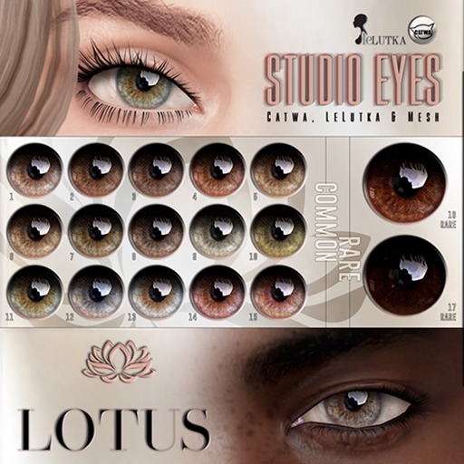 LOTUS. Studio Eyes 17 RARE