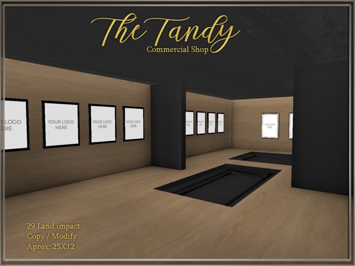 The Tandy _ Small Commercial Shop
