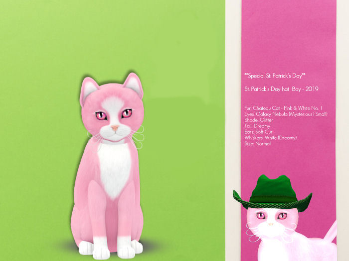 KittyCatS Box - St. Patrick's Day hat Boy - 2019
