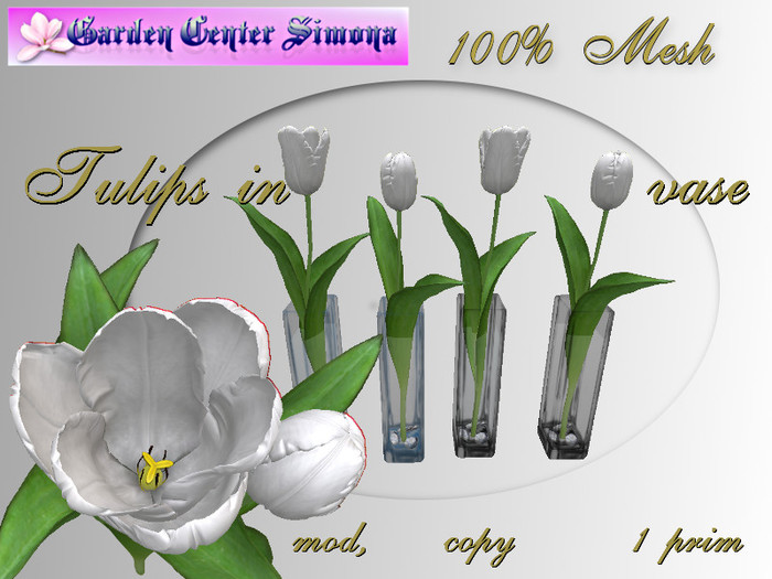 Spring Tulip in vase, white_001TVa_6
