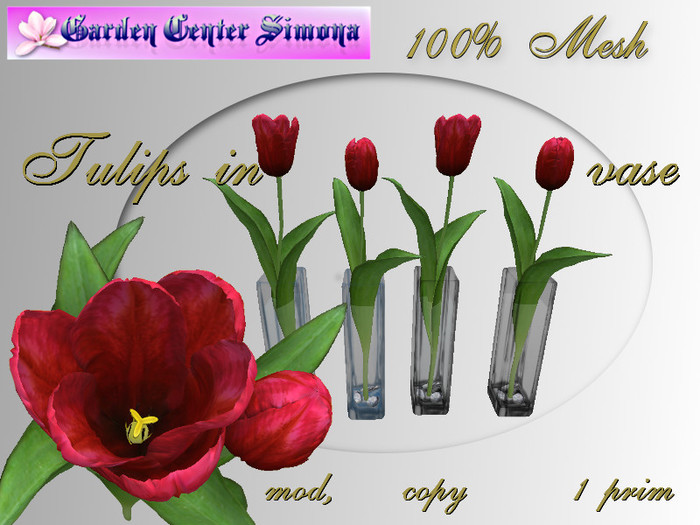 Spring Tulip  in vase, red_001TV_6