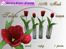 Spring Tulip  in vase, red_001TV_6