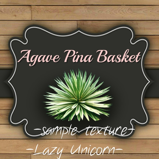 DFS TEXTURE -  Agave Pina Basket
