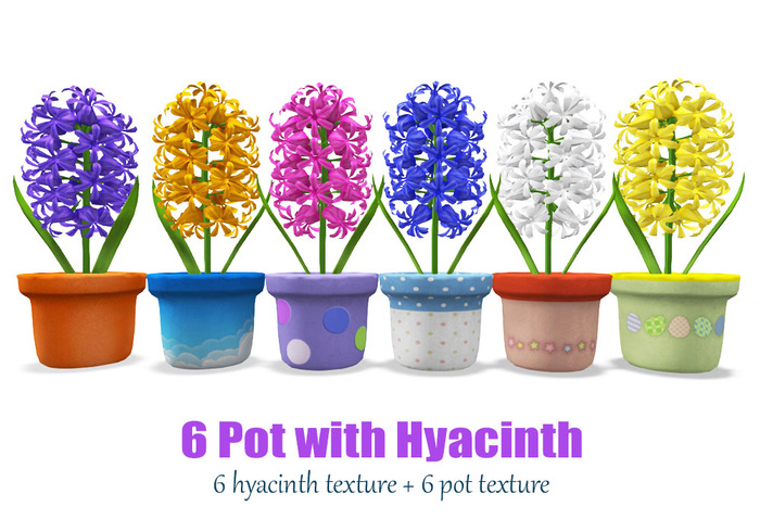 Hyacinth Pot