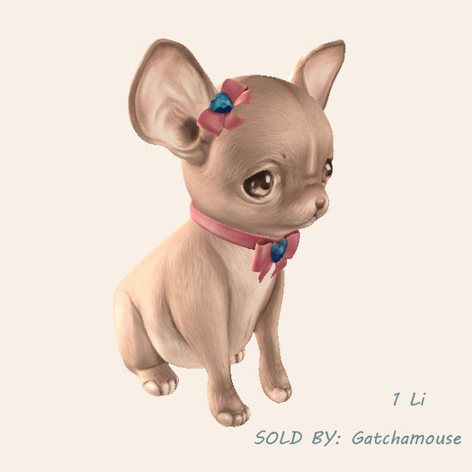 Birdy - Little Chi - Sit - White