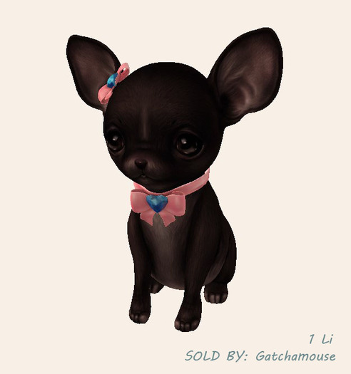 Birdy - Little Chi - Sit - Black