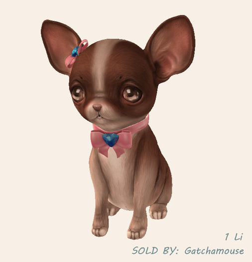 Birdy - Little Chi - Sit - Spot Brown RARE