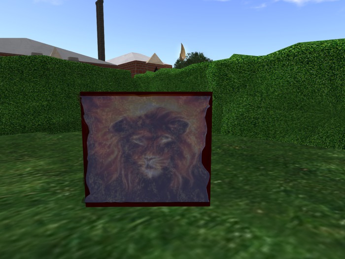 Moving Lion Picture (Boxed)