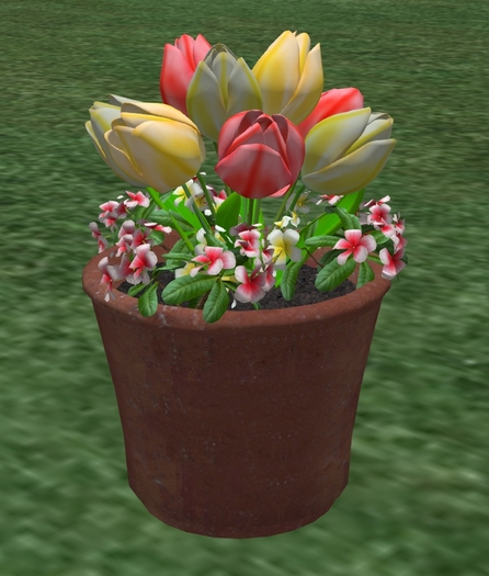 Spring Frangipani  Tulips red yellow