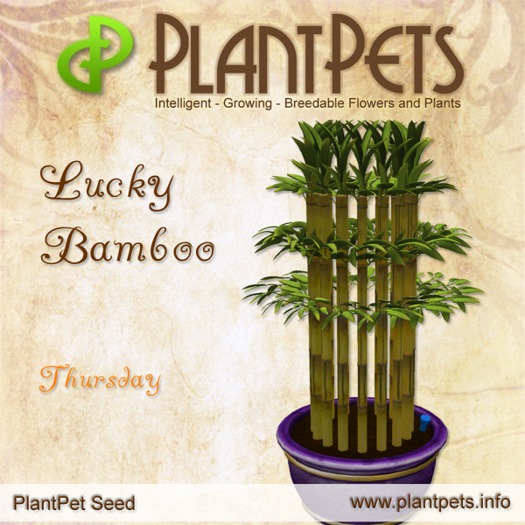 Second Life Marketplace - PlantPet Seed [Lucky Bamboo *Thursday*]COMMON