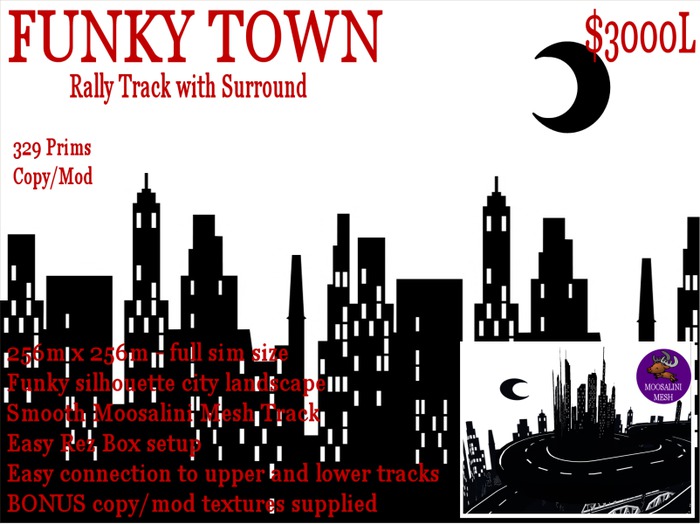 Funky Town Rally Track