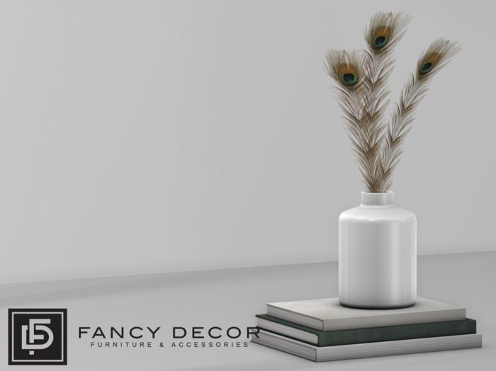 Fancy Decor: Rene Books & Feathers