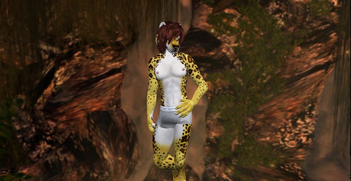 TwioriShapes-Swimmerboyfurry